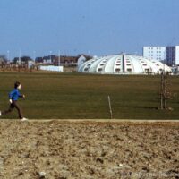 Conférence sur les piscines Tournesol au Rendez-vous des jeux