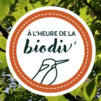 L’ARB lance une nouvelle série de webinaires participatifs sur le parcours de l’eau