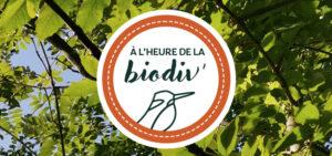 Lire la suite à propos de l’article L’ARB lance une nouvelle série de webinaires participatifs sur le parcours de l’eau