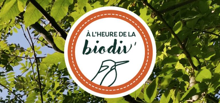 You are currently viewing L’ARB lance une nouvelle série de webinaires participatifs sur le parcours de l’eau