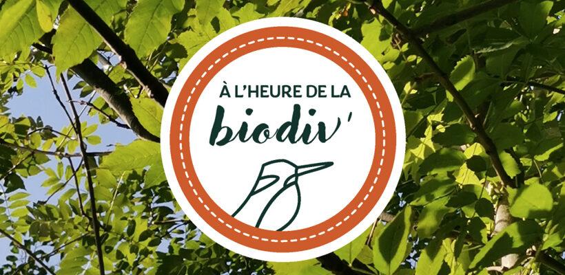 L’ARB lance une nouvelle série de webinaires participatifs sur le parcours de l’eau